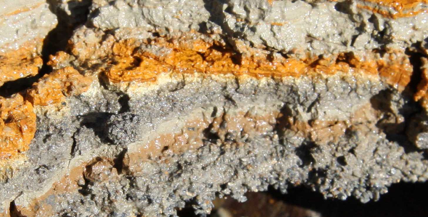 Enlarged view: Sediment from an abandoned mercury mine in California. Iron minerals influence the mobility of mercury. Photo: Ruben Kretzschmar 