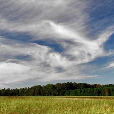 Cirrus clouds. ©Piccolo Namek, downloaded 2 April 2019 from  https://commons.wikimedia.org/wiki/File:CirrusField-color.jpghttps://commons.wikimedia.org/wiki/File:CirrusField-color.jpg