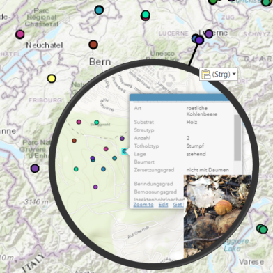 Biodiversity excursions at D-USYS. Figure: U. Brändle / M. Niederhuber, ETH Zurich