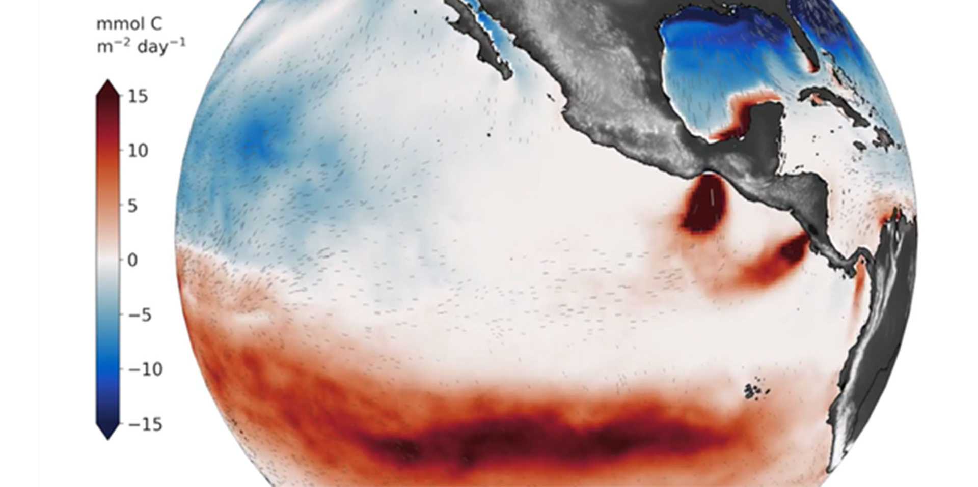 Unveiling The Fine-scale Complexity Of The Ocean Carbon Sink 