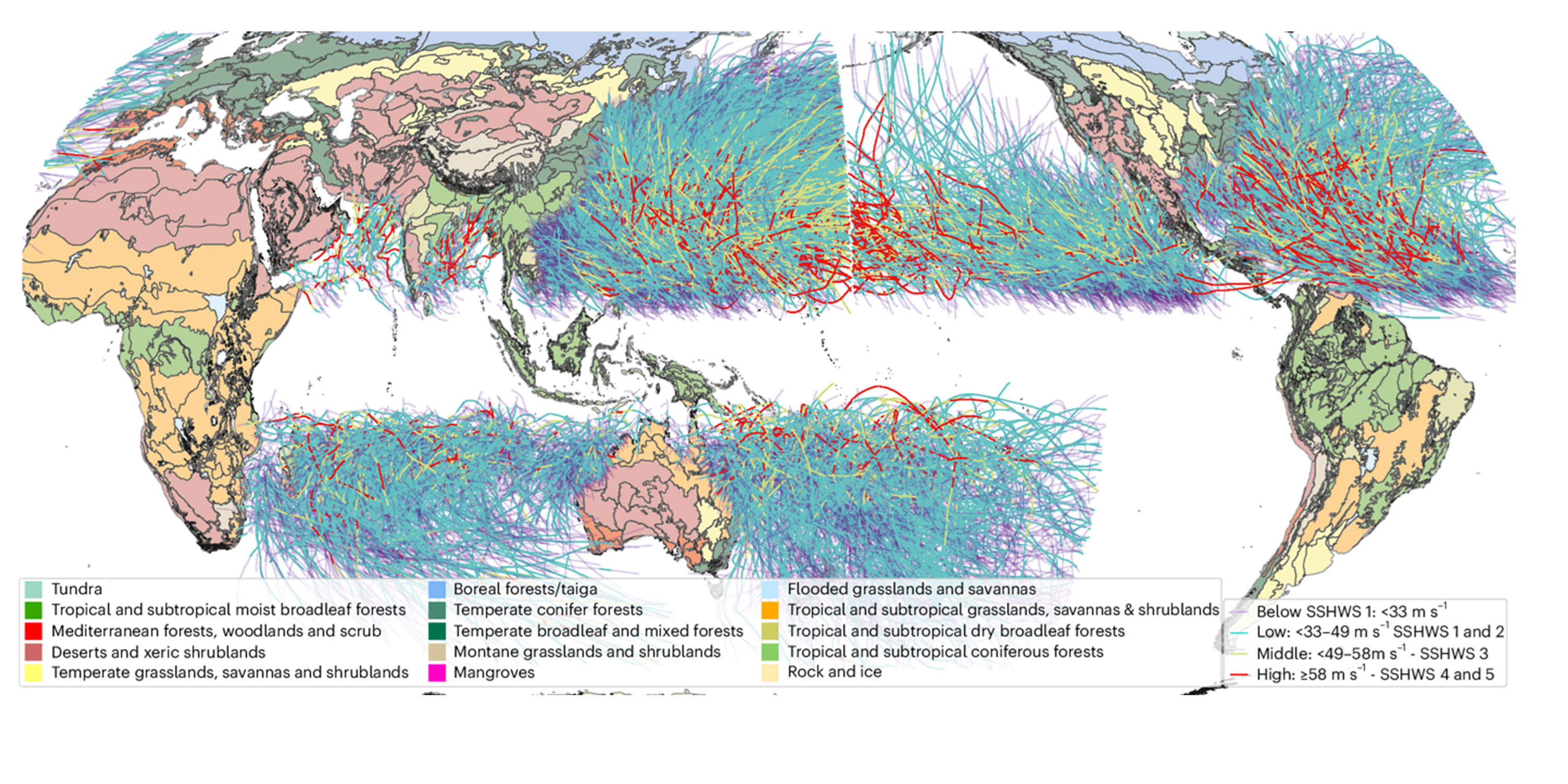 Historical tropical cyclones tracks and global ecosystems divided into ecoregions and colored by biome.