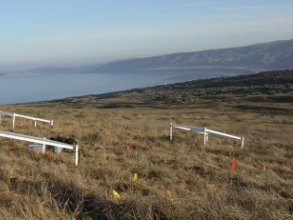 Enlarged view: Field experiments in the alps: Plants subjected to water stress (Photo: J. Levine)