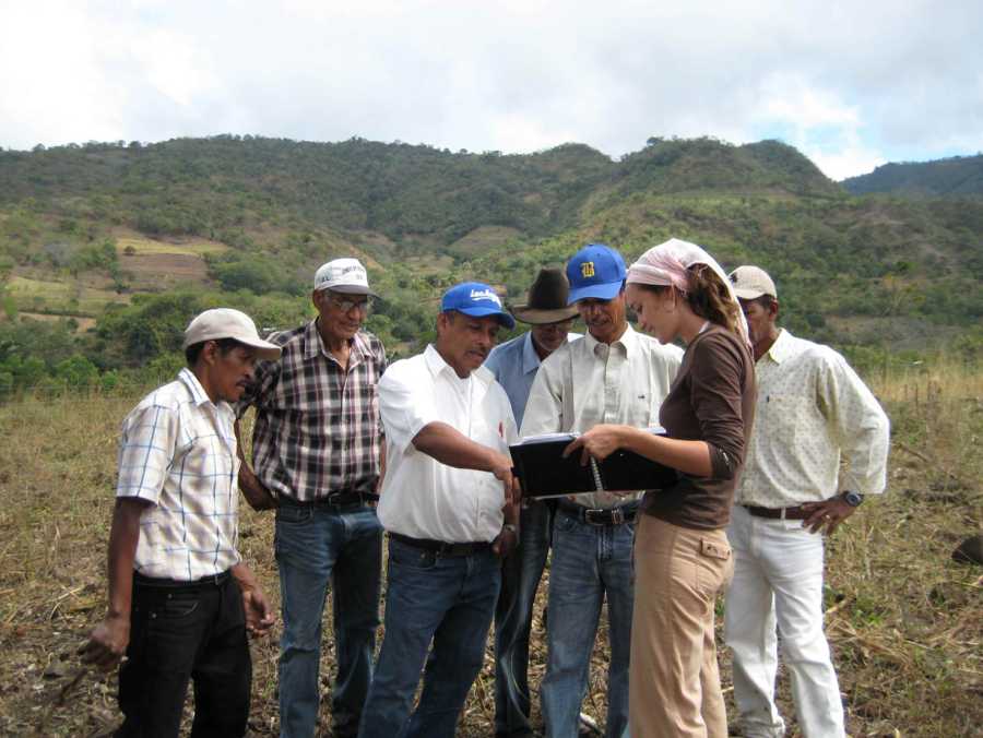 Enlarged view: Field experiments improving soil fertility in Colombia (Photo: A. Oberson)