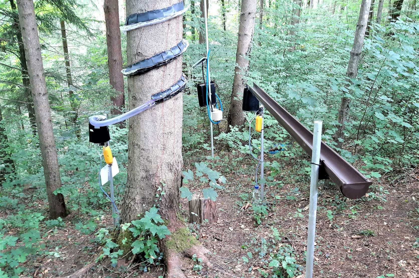 Installation für die Messung von Wasserabfluss am Baum 