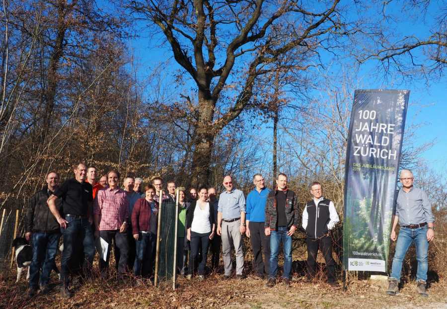 Gründung des Vereins Waldlabor Zürich