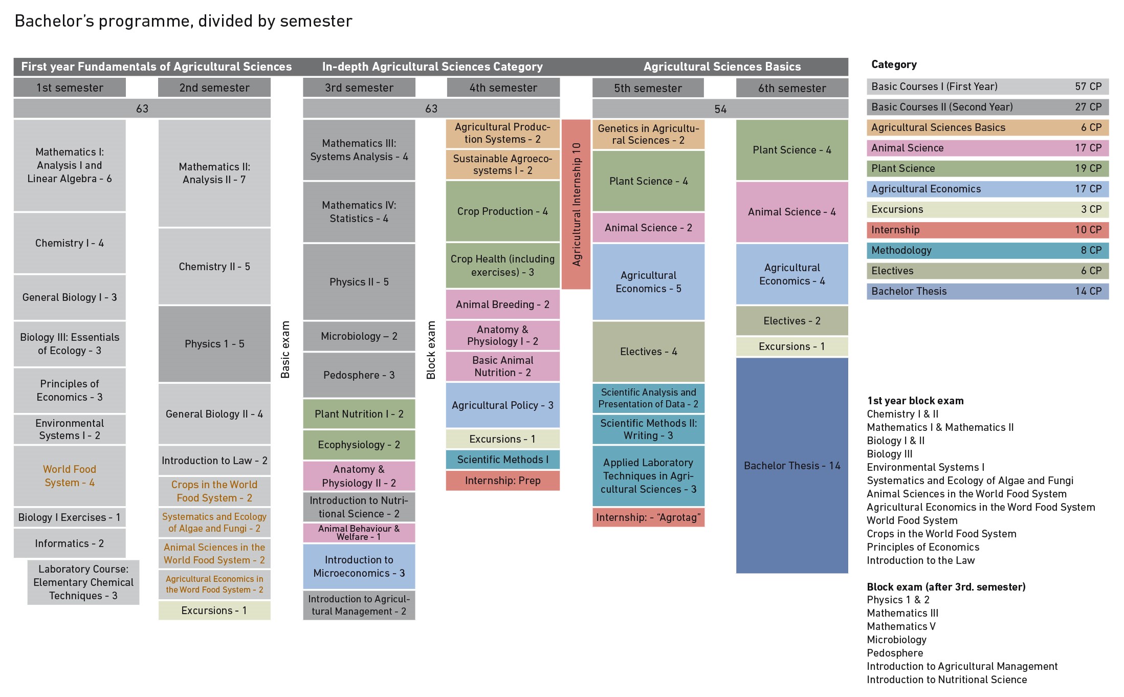 Bachelor's programme divided by semester