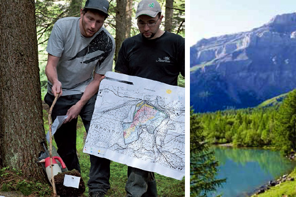 Forest And Landscape Management Department Of Environmental Systems Science Eth Zurich