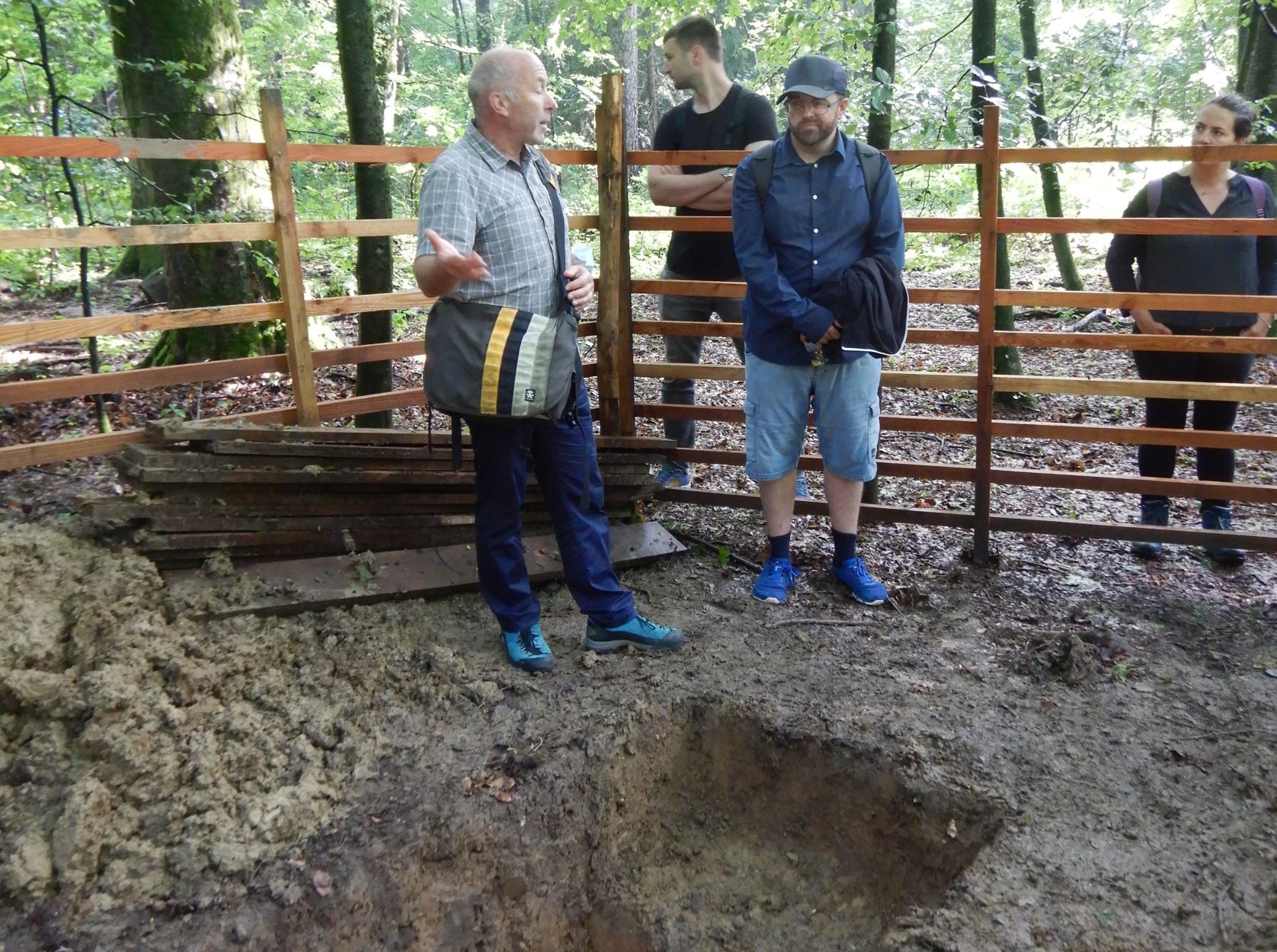 Bodenprofil im Waldlabor