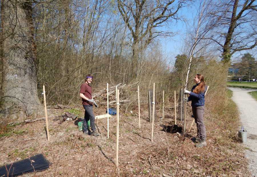 Studierende bei Pflanzaktion im Arboretum