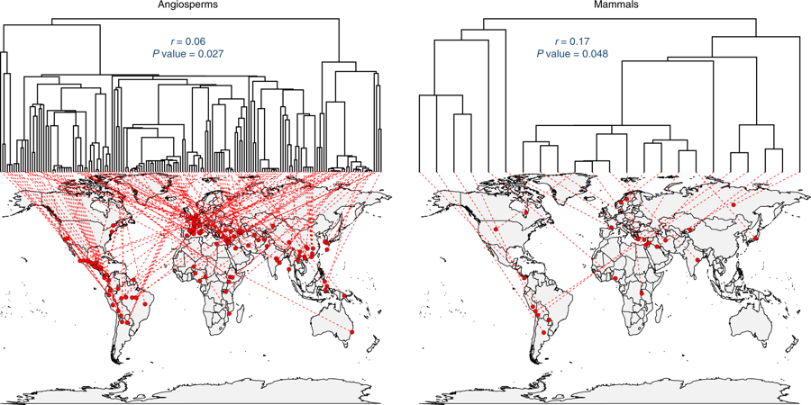Vergrösserte Ansicht: Phylogeographische Verteilung des vermuteten Herkunftsortes von Lebensmitteln, welche in die phänotypischen Raumanalysen einbezogen sind. ©Universidad Rey Juan Carlos