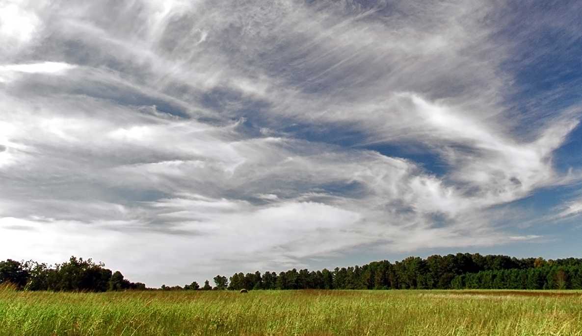 Vergrösserte Ansicht: Zirruswolken. ©Piccolo Namek, heruntergeladen am 2. April 2019 von https://commons.wikimedia.org/wiki/File:CirrusField-color.jpghttps://commons.wikimedia.org/wiki/File:CirrusField-color.jpg