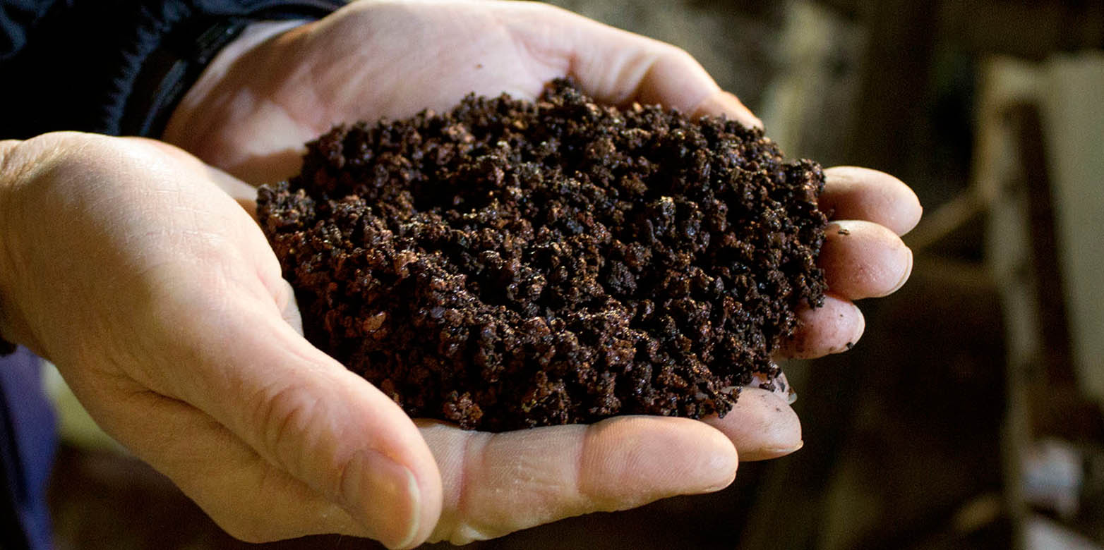 Vergrösserte Ansicht: Aus dieser Klärschlammasche kann ein schadstofffreier Phosphordünger hergestellt werden. Damit können regionale Phosphorkreisläufe geschlossen werden. (Foto: Sebastian Wälti, CC BY 4.9) 
