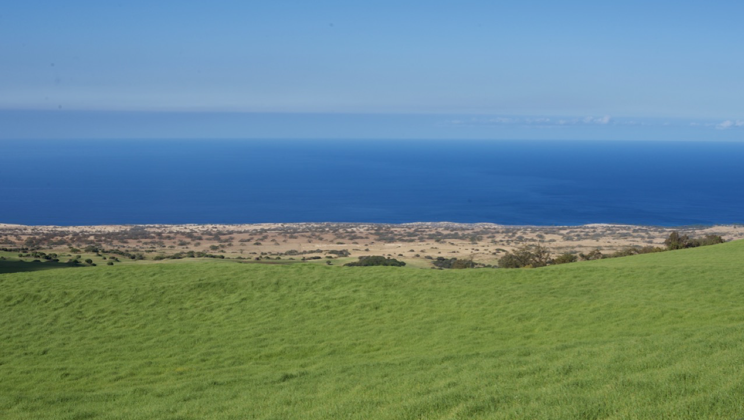 Vergrösserte Ansicht: Feldstandort mit sichtbarem Klimagradienten: Je näher an der Küste, desto brauner wird das Gras. Foto: Canadian Light Source