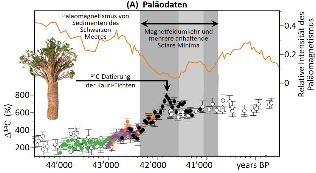 Vergrösserte Ansicht: Veränderung des atmosphärischen Radiokohlenstoffs während der geomagnetischen Laschamps-Exkursion und damit verbundene atmosphärische Einflüsse. Kauri 14C-Werte (farbige Symbole) während der Magnetfeldumkehr im Vergleich zu früheren 230Th-datierten Radiokohlenstoffwerten der Hulu-Tropfsteinhöhlen (offene Symbole).  Die relative paläomagnetischen Intensität wurde aus Sedimenten des Schwarzen Meeres gewonnen (orangefarbene Linie).  Der Peak in 14C fällt mit einem markanten «Grand Solar Minimum» zusammen. Grafik: www.nature.com   