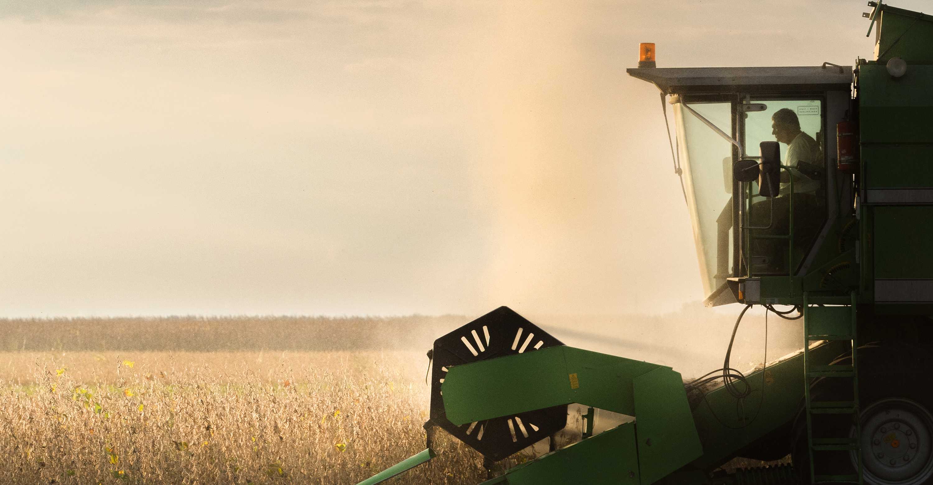 Soybean harvest in autumn