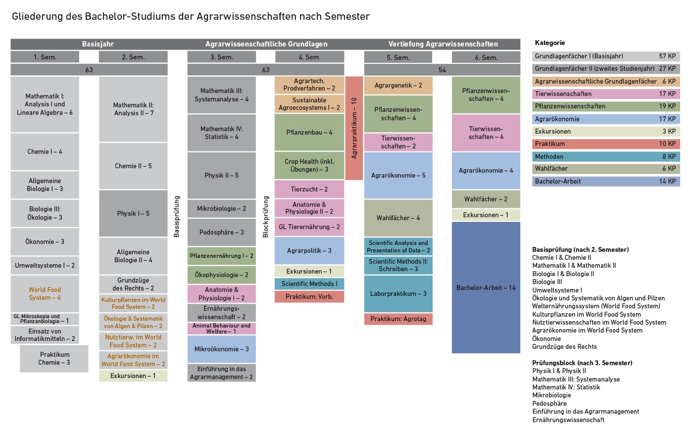 Gliederung Bachelor-Studium