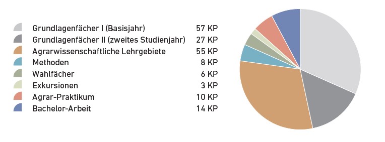 BSc Lehrkategorien